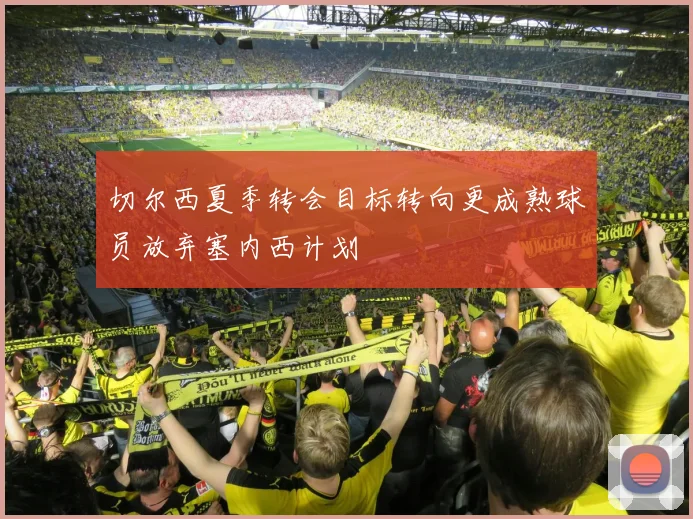 切尔西夏季转会目标转向更成熟球员放弃塞内西计划